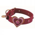 Dosha Dog Red Leather with Heart Collar