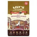 Lily’s Kitchen Wild Woodland Walk