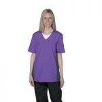 Insect Shield Purple V-Neck Grooming Top