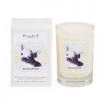 Aroma Paws Glass Breed Candle Chihuahua 5oz