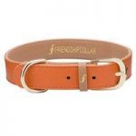 Friendship Collar Collar & Bracelet Set Classic Pup Arancia